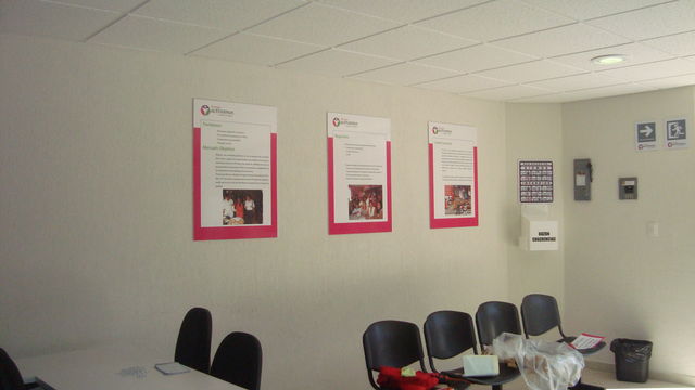 CARTELES
